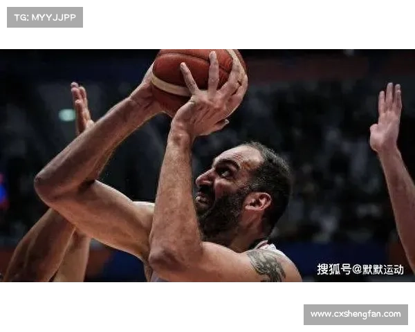 哈达迪为何坚持不退役背后的真实原因分析