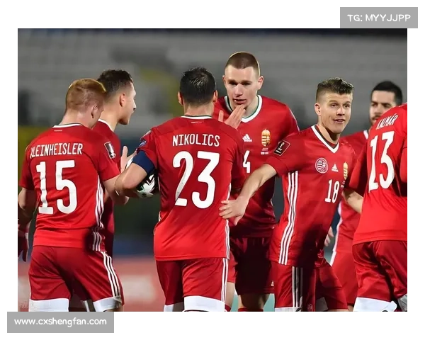 德国队全面换血后整体实力提升与欧洲杯前景深度评估